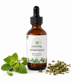 Lemon Balm