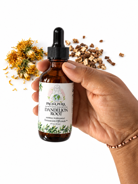 DANDELION ROOT