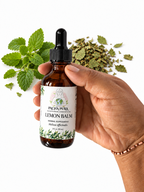 Lemon Balm